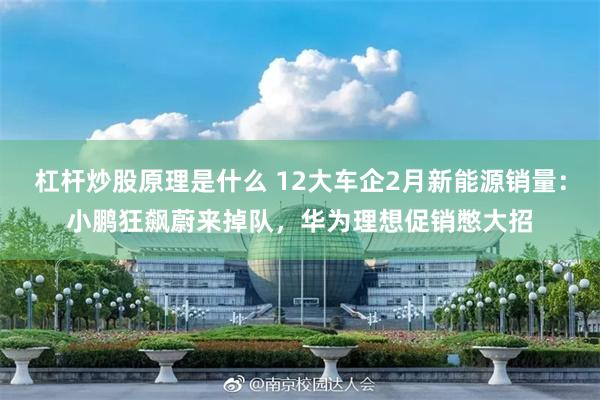 杠杆炒股原理是什么 12大车企2月新能源销量：小鹏狂飙蔚来掉队，华为理想促销憋大招
