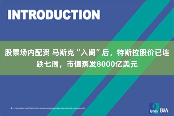 股票场内配资 马斯克“入阁”后，特斯拉股价已连跌七周，市值蒸发8000亿美元