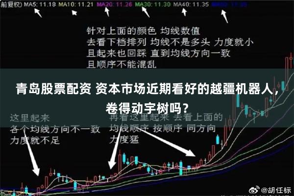 青岛股票配资 资本市场近期看好的越疆机器人，卷得动宇树吗？