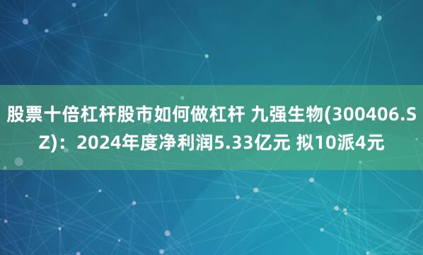 股票十倍杠杆股市如何做杠杆 九强生物(300406.SZ)：2024年度净利润5.33亿元 拟10派4元