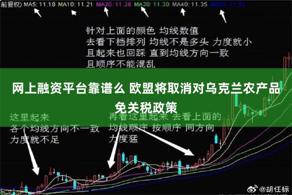网上融资平台靠谱么 欧盟将取消对乌克兰农产品免关税政策