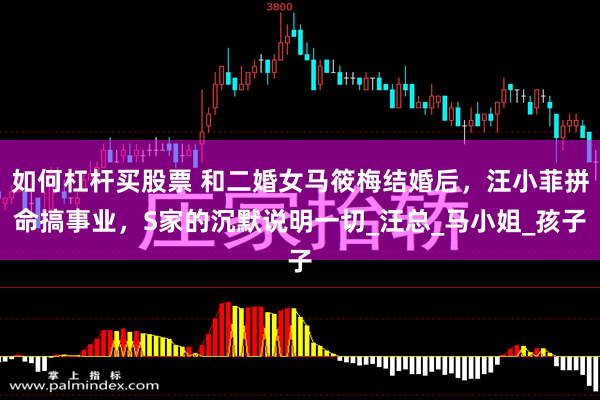 如何杠杆买股票 和二婚女马筱梅结婚后，汪小菲拼命搞事业，S家的沉默说明一切_汪总_马小姐_孩子