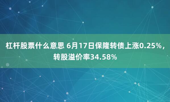 杠杆股票什么意思 6月17日保隆转债上涨0.25%，转股溢价率34.58%