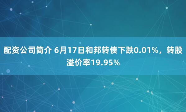 配资公司简介 6月17日和邦转债下跌0.01%，转股溢价率19.95%