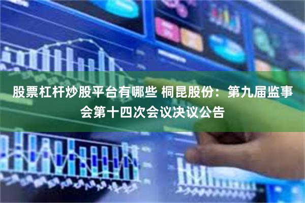 股票杠杆炒股平台有哪些 桐昆股份：第九届监事会第十四次会议决议公告