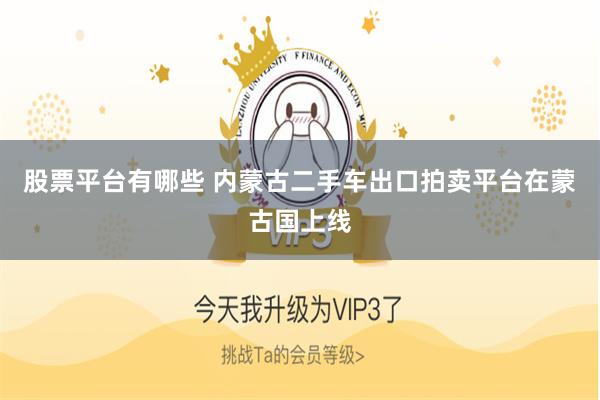 股票平台有哪些 内蒙古二手车出口拍卖平台在蒙古国上线