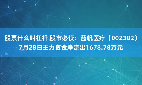 股票什么叫杠杆 股市必读：蓝帆医疗（002382）7月28日主力资金净流出1678.78万元