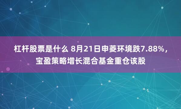 杠杆股票是什么 8月21日申菱环境跌7.88%，宝盈策略增长混合基金重仓该股