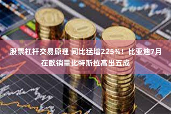 股票杠杆交易原理 同比猛增225%！比亚迪7月在欧销量比特斯拉高出五成
